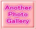 To "Another Photo Gallery"